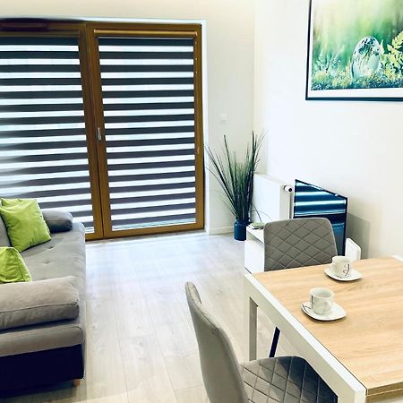 Modern Silver Apartment Krakow Dış mekan fotoğraf