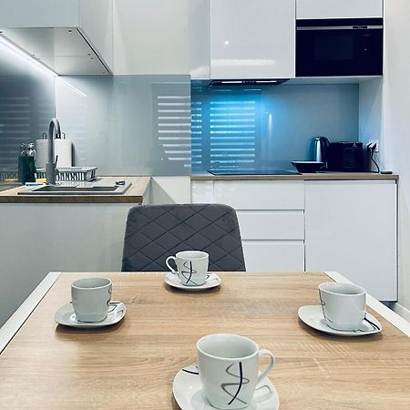 Modern Silver Apartment Krakow Dış mekan fotoğraf
