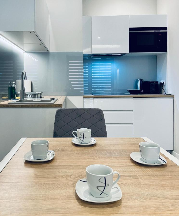Modern Silver Apartment Krakow Dış mekan fotoğraf